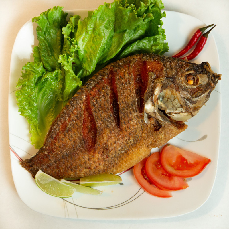 Tilapia